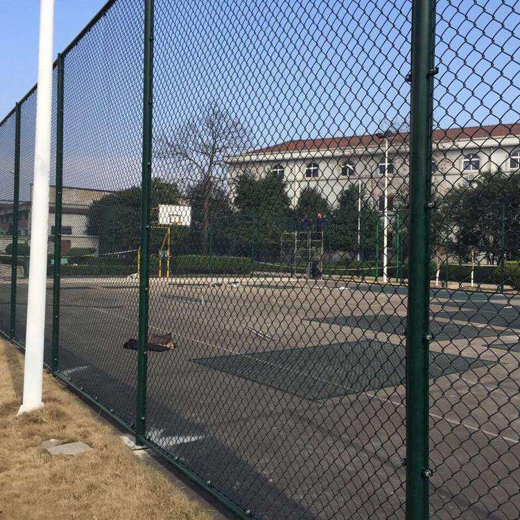 體育場防護網